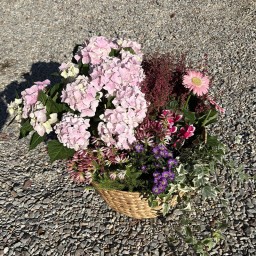 Composition Panier pour le cimetière