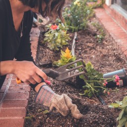 05/04 - Initiation au jardinage: Création d’un massif exterieur/apprendre à structurer son jardin