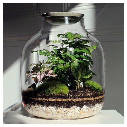 14/03 - Création d’un terrarium
